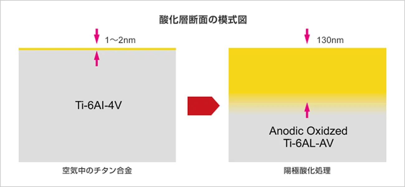酸化層断面の模式図