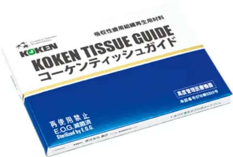 コーケンティッシュガイド