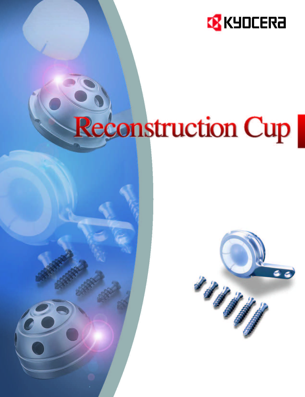 Reconstruction Cup